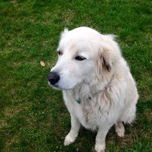 Meet your Posher, Michele